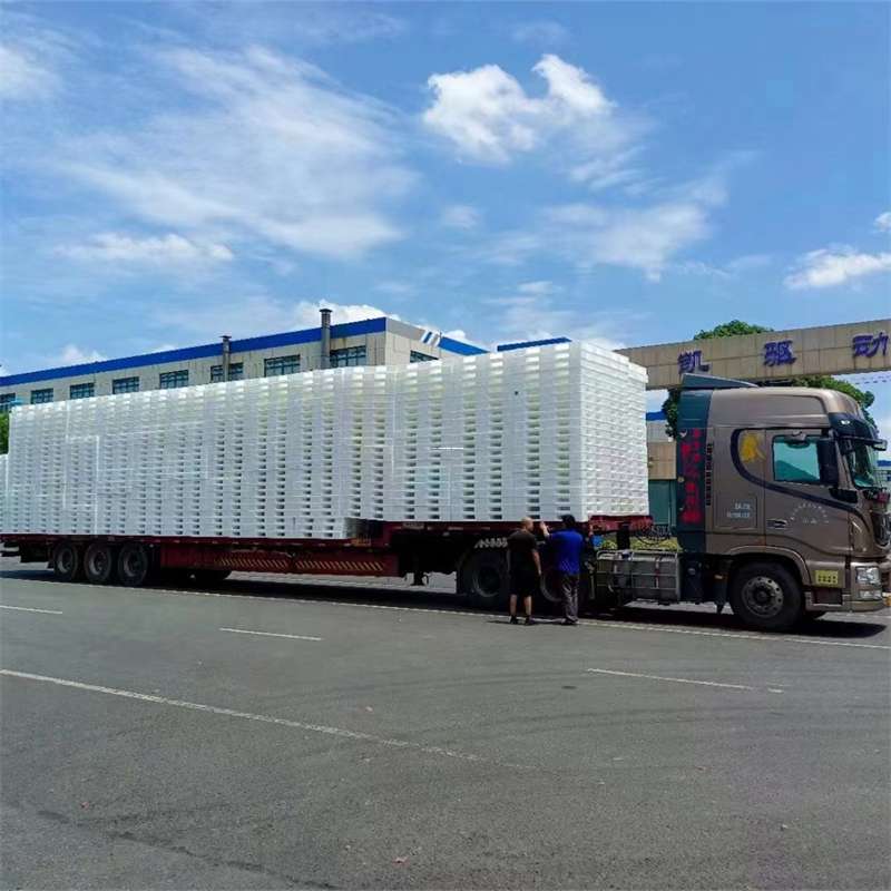 辽宁辽阳辽阳县到那曲物流公司一站式服务，满足您的各种物流需求